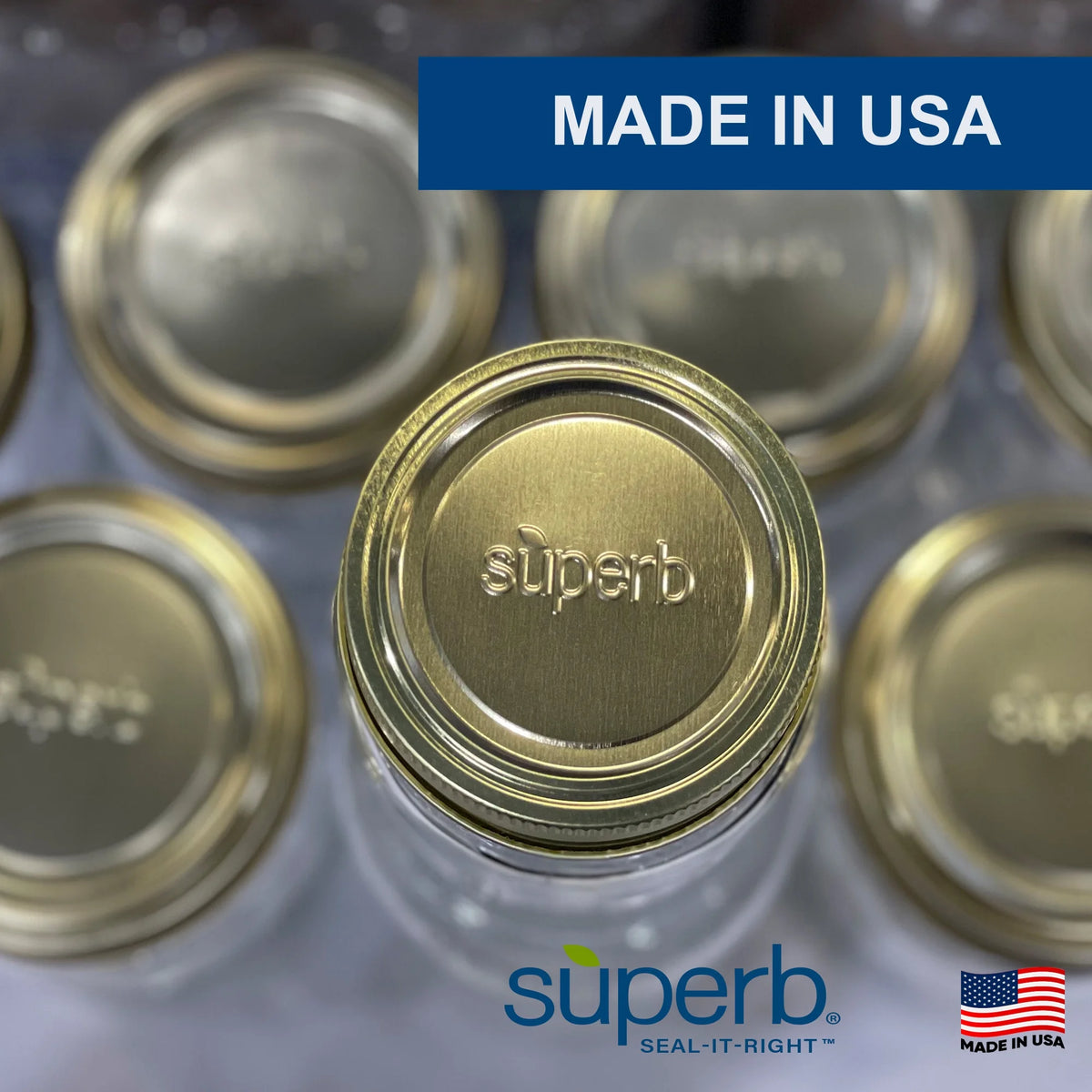 (4 Pack)  12-Pack Canning Jar Lids - Regular Mouth, One-Piece Replacement Mason Jar Lids for Canning and Preserving, Fits All Brands Regular Mouth Mason Jars