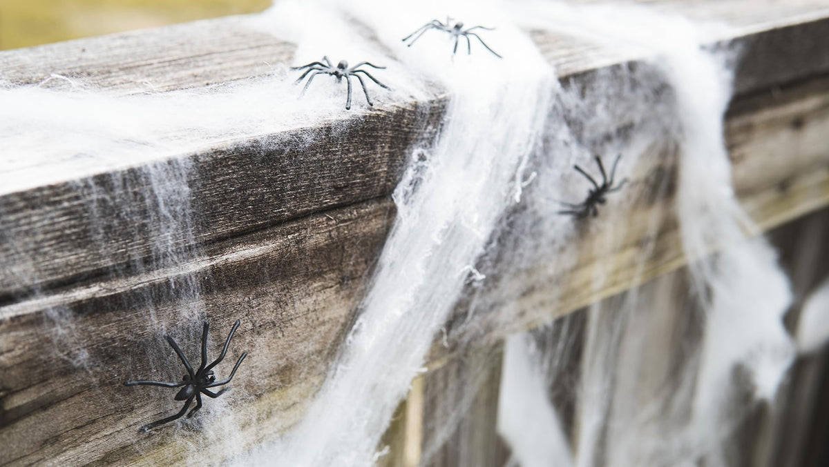 200Sqft Spiderwebs Halloween Decor