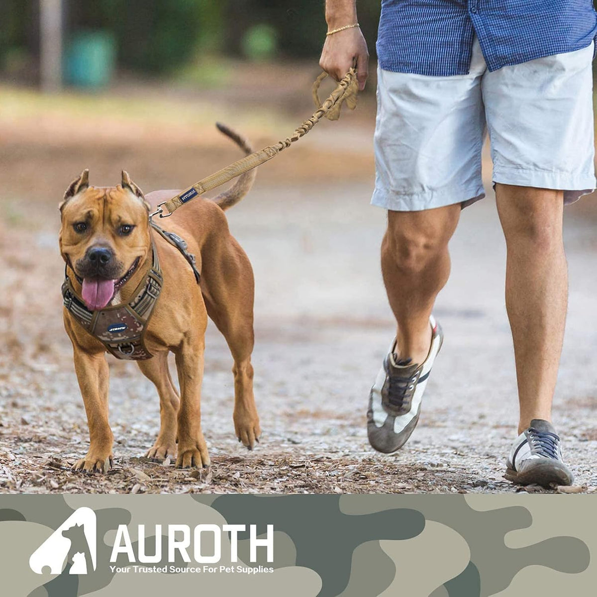 Bungee Dog Leash for Large Dogs, No Pull for Shock Absorption