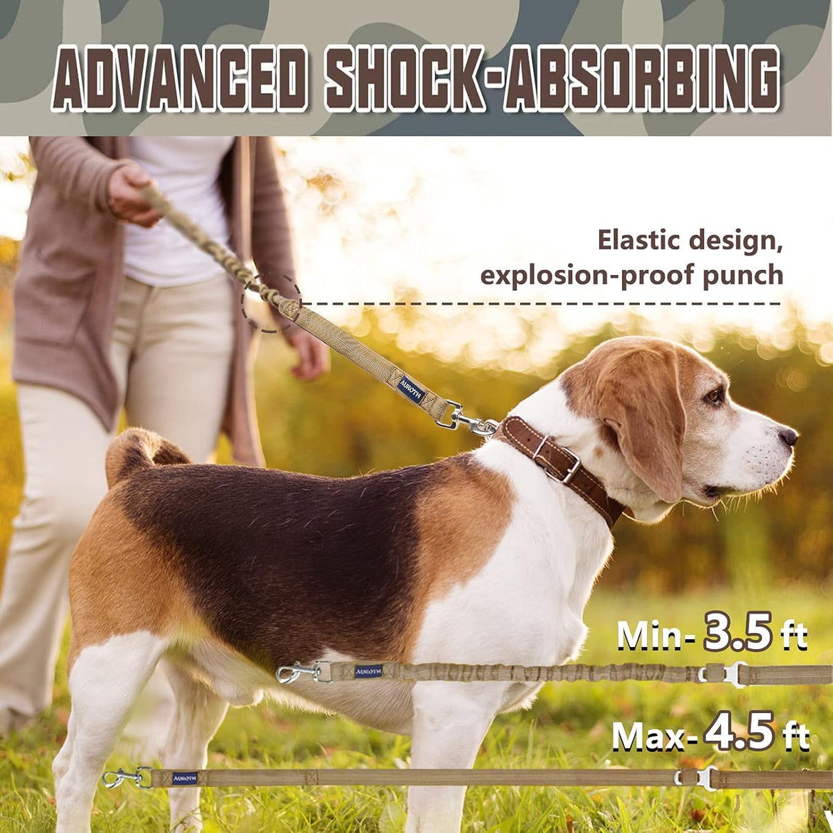Bungee Dog Leash for Large Dogs, No Pull for Shock Absorption